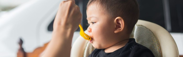 Catégorie - équipement de repas pour bébé occasion