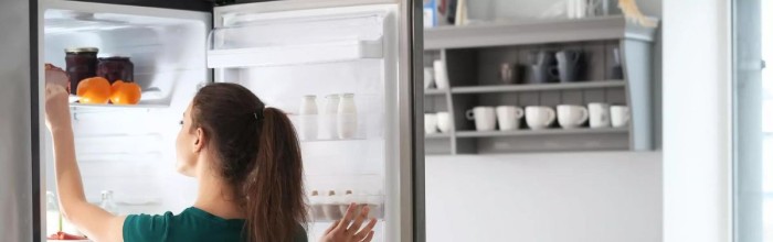 ② Petit frigo en très bon état — Réfrigérateurs & Frigos — 2ememain